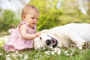 dogs_and_babies2